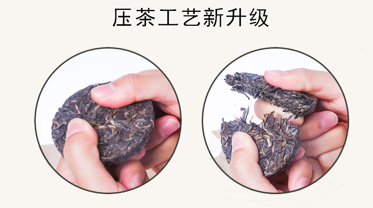 陈升号普洱茶加盟支持